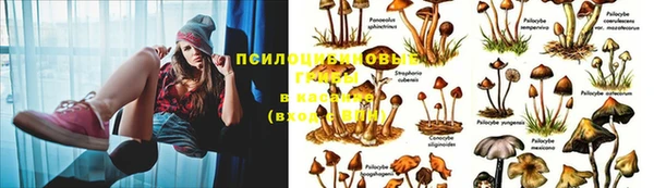 марки nbome Арсеньев