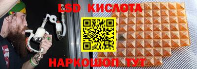 PSILOCYBIN Новокубанск
