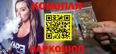 прущие грибы Новозыбков