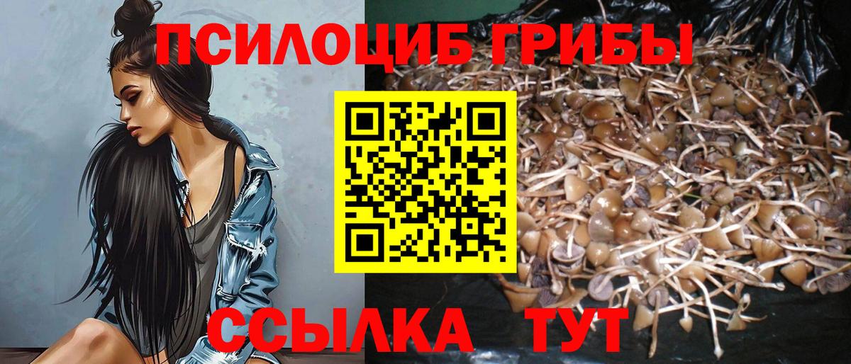Галлюциногенные грибы Psilocybe  Галлюциногенные грибы Psilocybe  Вход с VPN  Глазов 